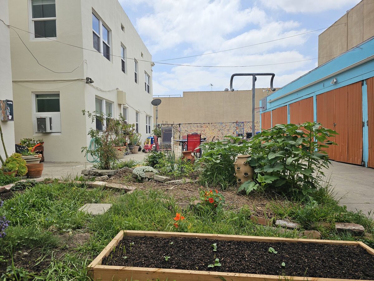 The shared courtyard vegetable garden at Urban Soil / Tierra Urbana